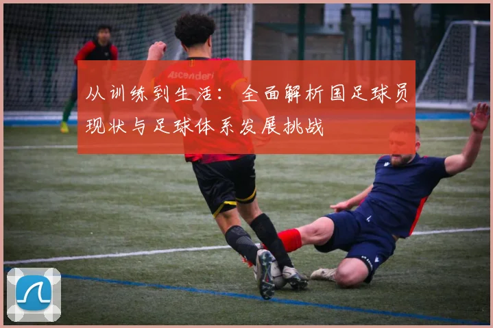从训练到生活：全面解析国足球员现状与足球体系发展挑战