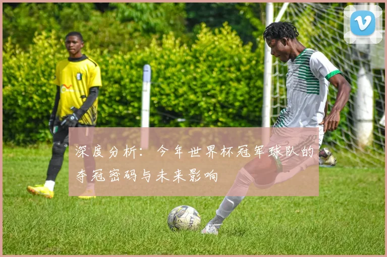 深度分析：今年世界杯冠军球队的夺冠密码与未来影响